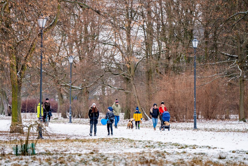 Park Poniatowskiego w zimowej szacie