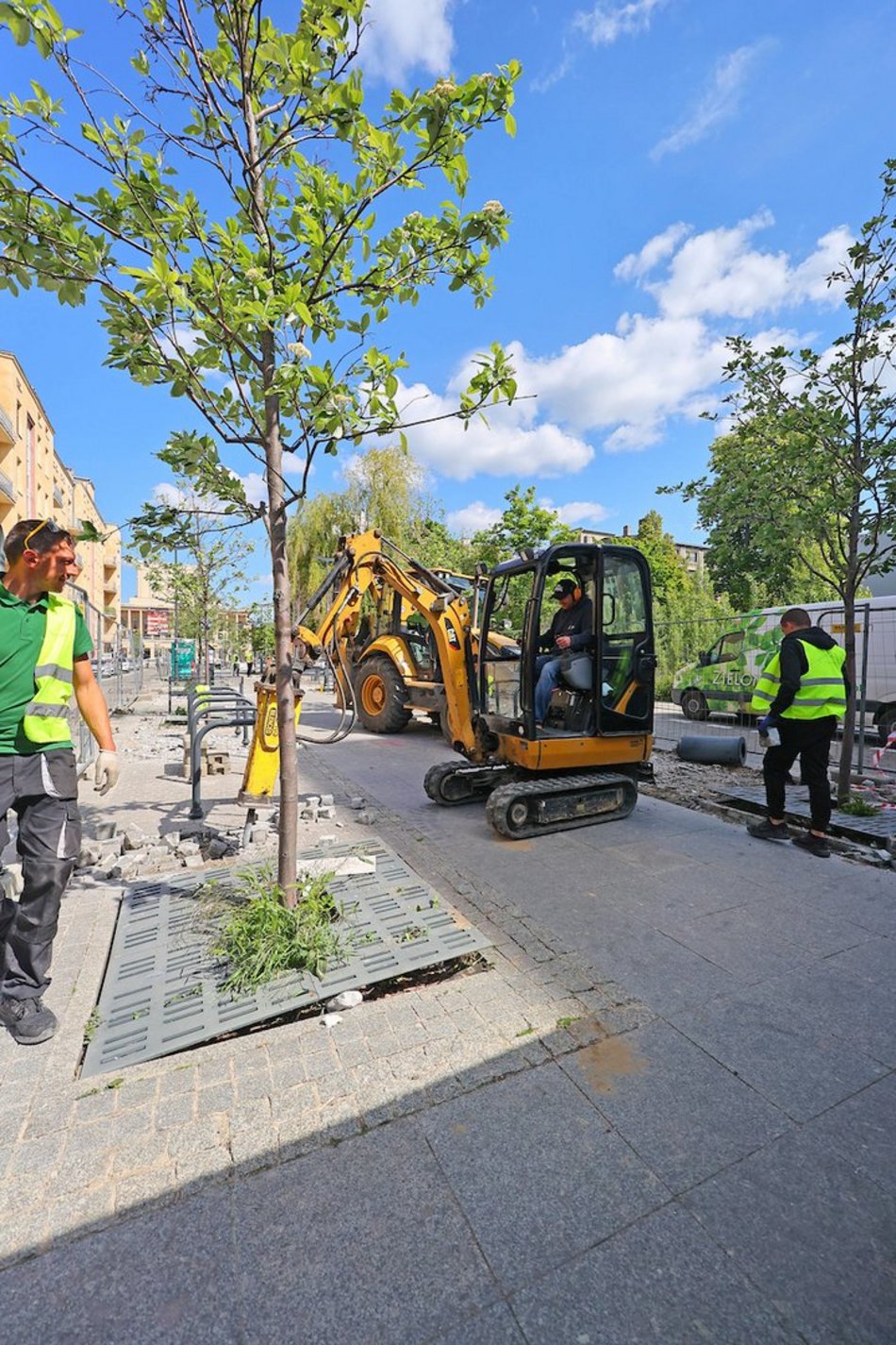 Łódź. Więcej zieleni w centrum! Zamiast betonu będą kolorowe byliny, krzewy i piękne rabaty