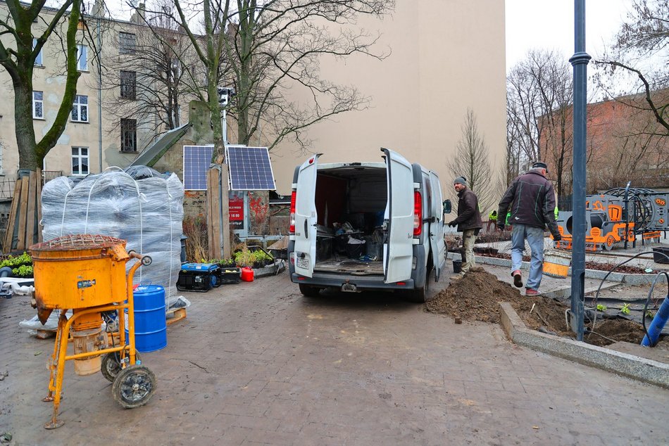 Sadzenie drzew i krzewów przy ul. Legionów