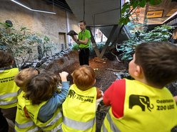 Łódź. Ferie zimowe 2026 w Orientarium Zoo Łódź