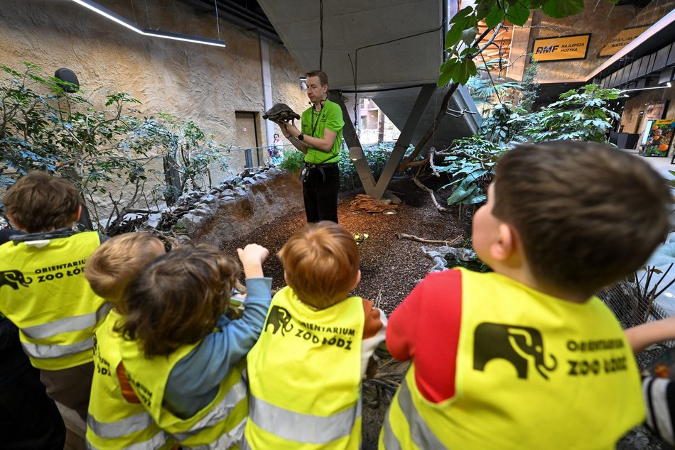 Łódź. Ferie zimowe 2026 w Orientarium Zoo Łódź
