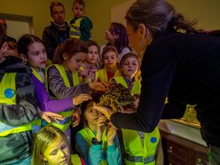 Łódź. Specjalne promocje w Aquaparku Fala i Orientarium Zoo Łódź