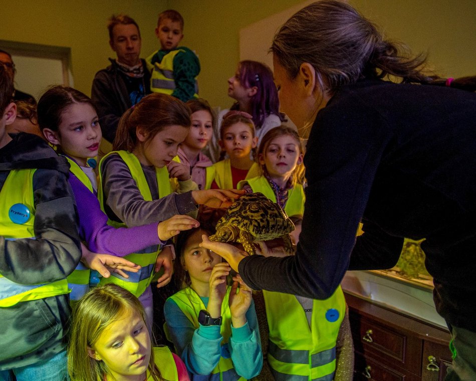 Łódź. Specjalne promocje w Aquaparku Fala i Orientarium Zoo Łódź