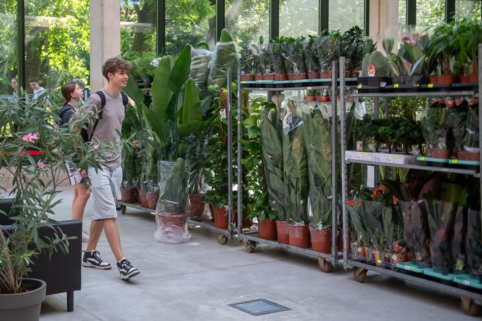 Pierwsze Targi roślin egzotycznych w Orientarium Zoo Łódź. Ale okazy!