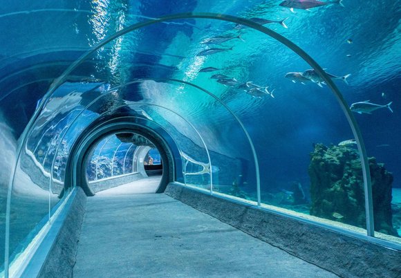 Łódź. Relaksacyjny luksus, czyli wieczór VIP w Orientarium Zoo Łódź. Tego jeszcze nie było!