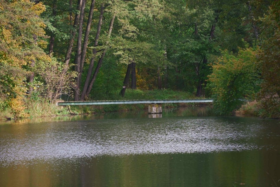 Będzie nowa kładka w parku Julianowskim w Łodzi. Remont już się rozpoczął