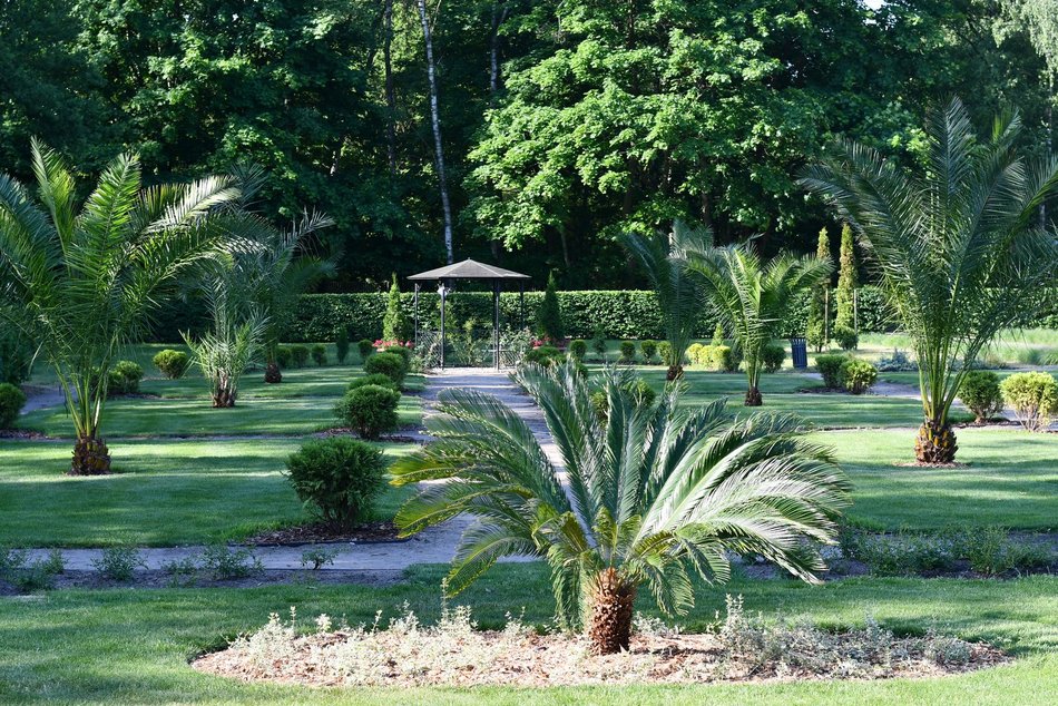 Ogród Fabrykanta w Ogrodzie Botanicznym w Łodzi