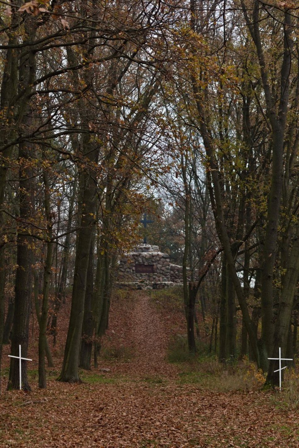 Grobowa Góra w Starej Gadce. Największy łódzki cmentarz ofiar I wojny światowej