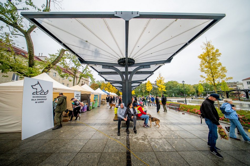 Światowy Dzień Zwierząt w Łodzi