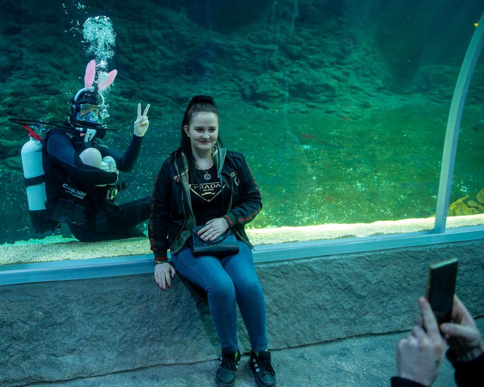 Łódź. Podwodny zając wielkanocny? Tylko w Orientarium Zoo Łódź!