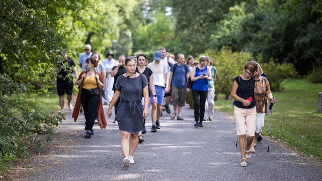 Inwazja obcych w Ogrodzie Botanicznym w Łodzi. Przyjdź na spacer!