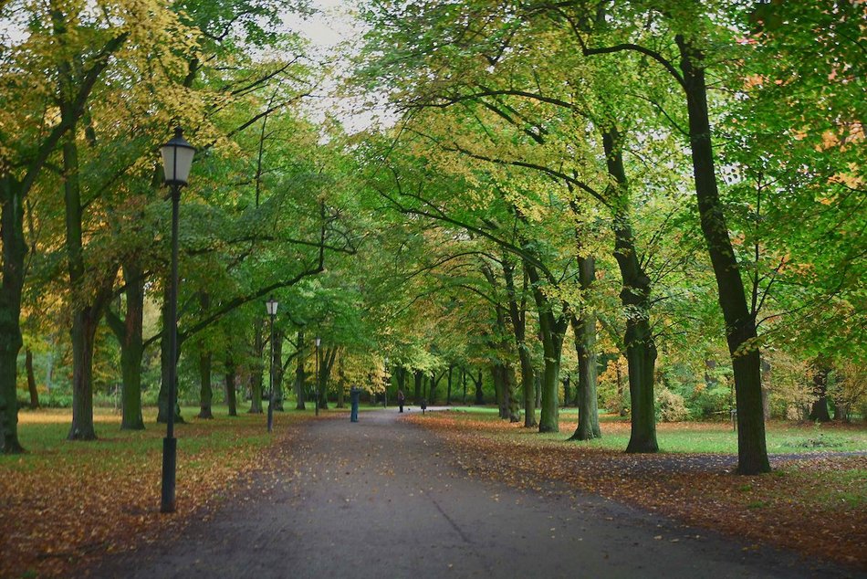 Łódź. Jesienne kadry z parków