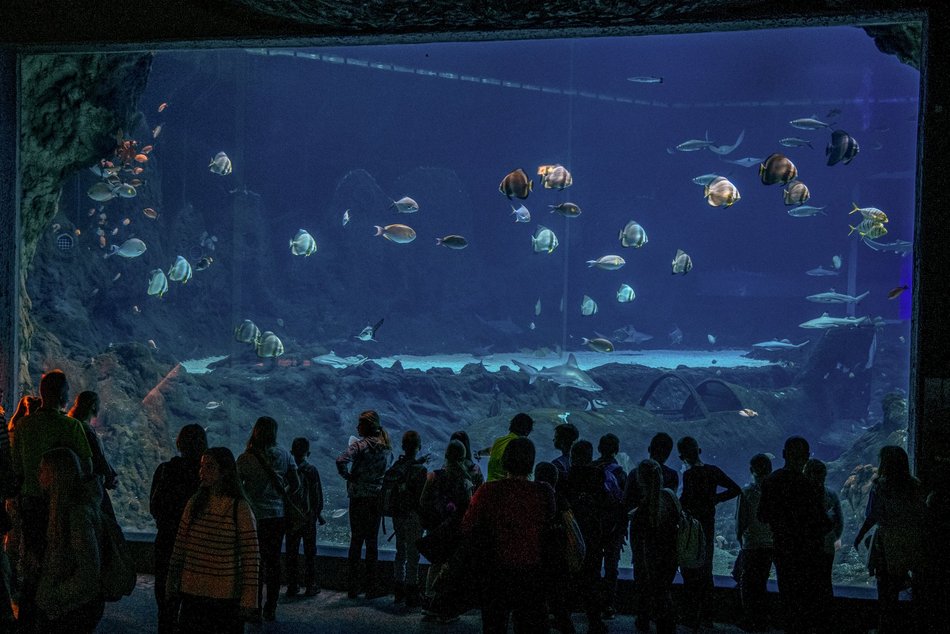 Orientarium Zoo Łódź z prestiżowym wyróżnieniem. Najlepszy Produkt Turystyczny 2024!