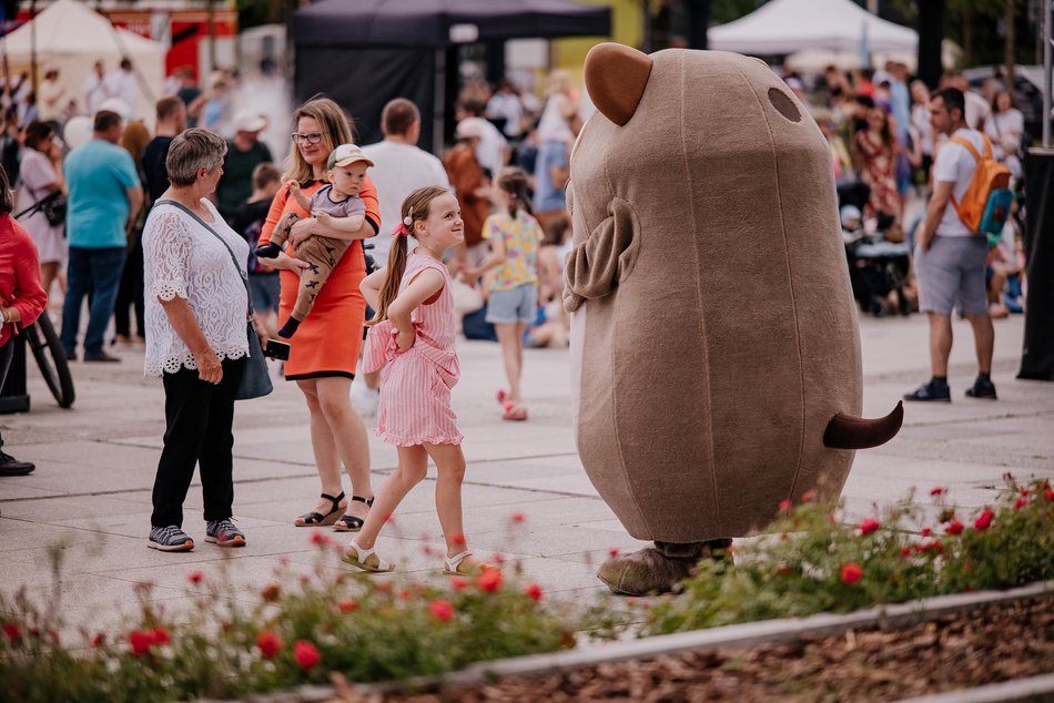 Łódź. Miejski Dzień Dziecka 2025 w Łodzi. Majka Jeżowska, dmuchańce i pokazy [ZDJĘCIA]