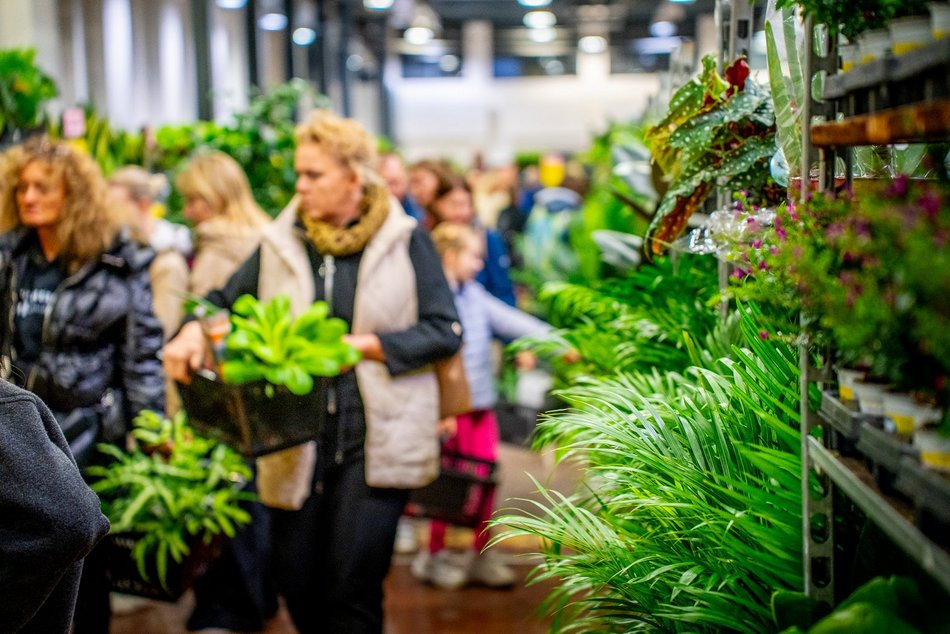 Festiwal Roślin w EC1 Łódź