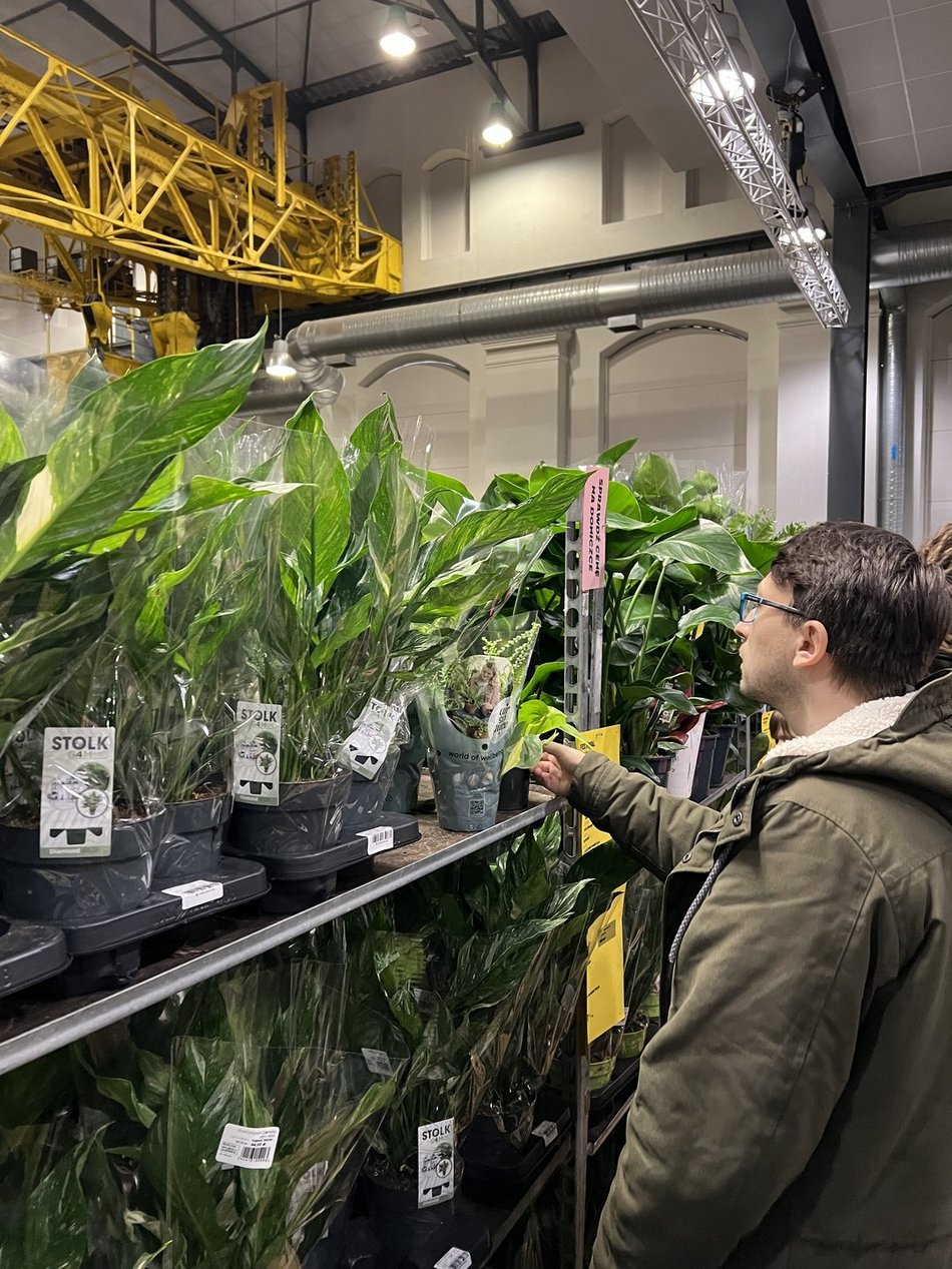 Festiwal Roślin w EC1 Łódź