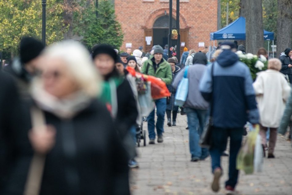 Trwa kwesta na Starym Cmentarzu w Łodzi