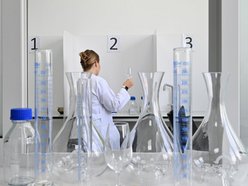 Wiedźmin jakiego nie znałeś/aś! Ciekawostki i anegdoty z prozy Andrzeja Sapkowskiego