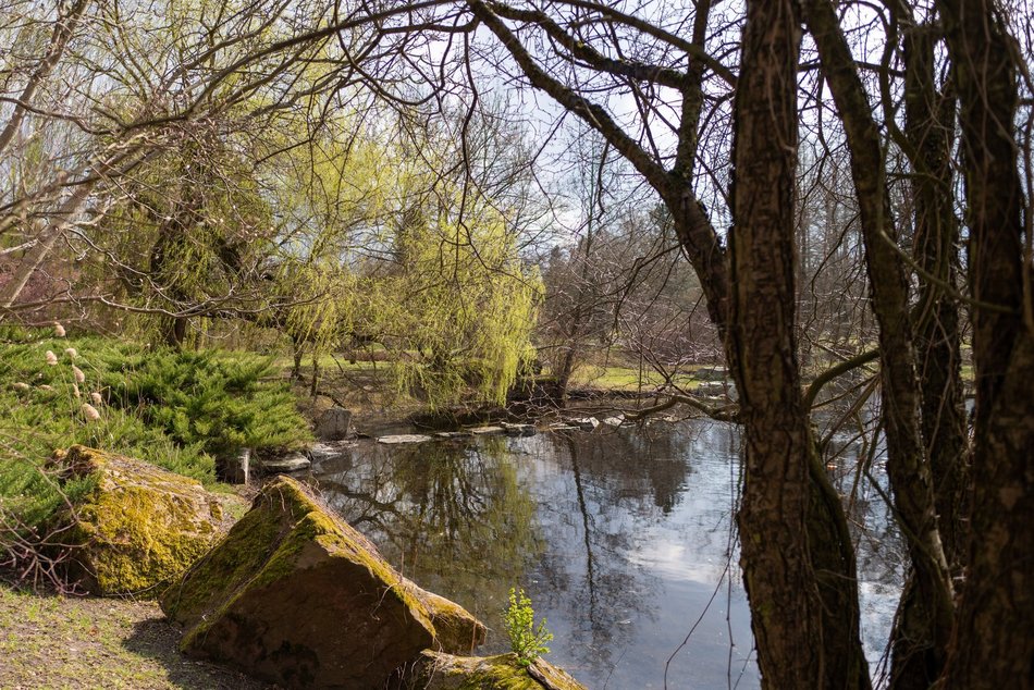 Wiosenny Ogród Botaniczny w Łodzi. Spacer wśród budzącej się do życia przyrody