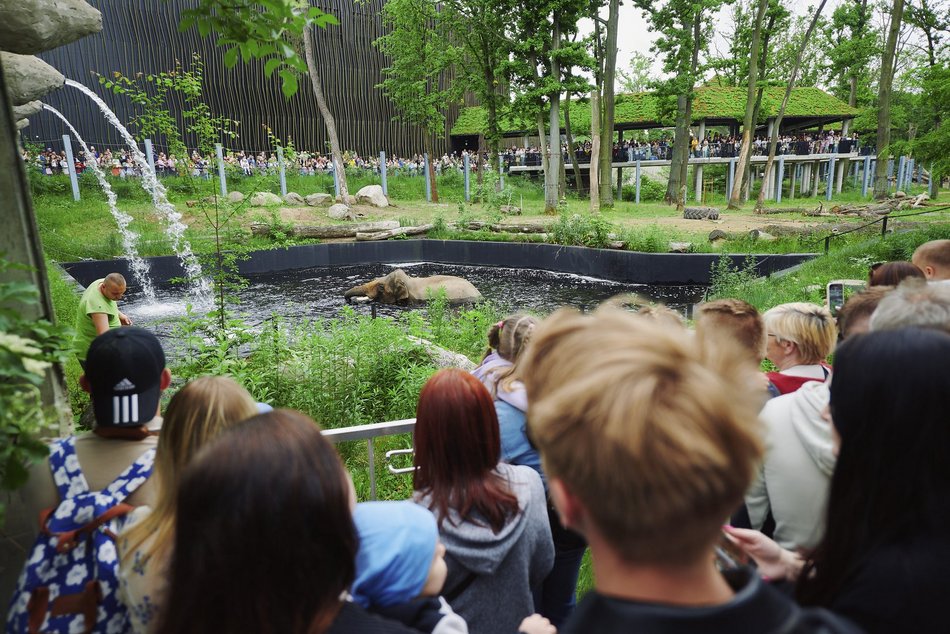 Łódź. Orientarium Zoo Łódź