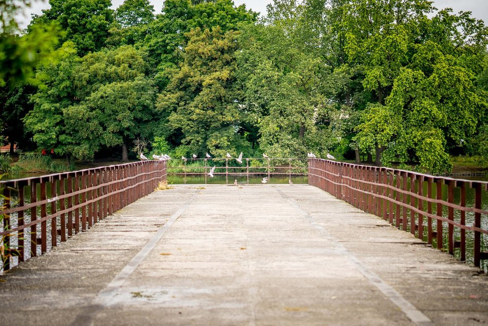 Łódź. Staw przy Przędzalnianej w Łodzi w trakcie czyszczenia. Tam będzie jeszcze piękniej!