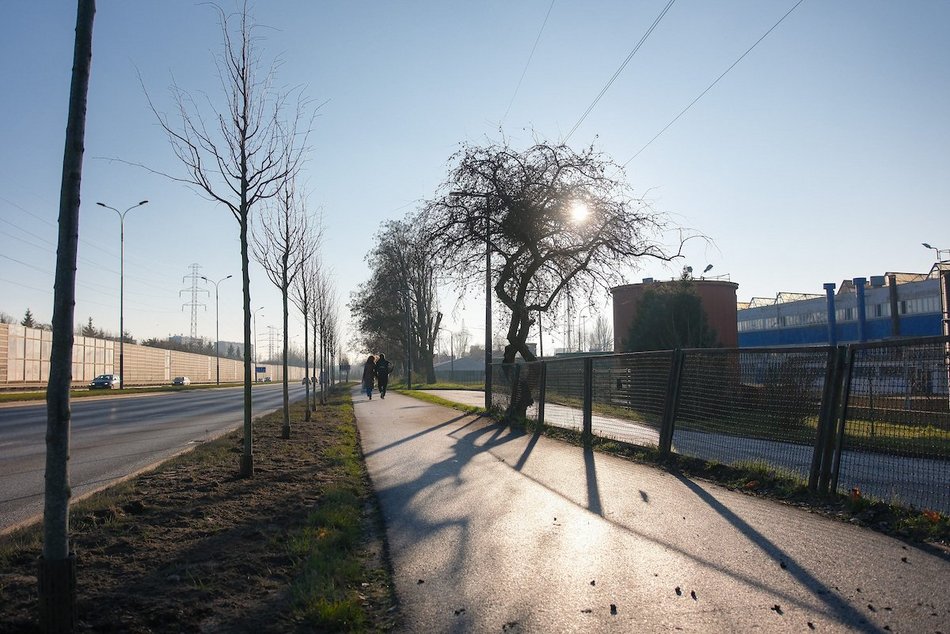 Łódź. Zielona metamorfoza Włókniarzy