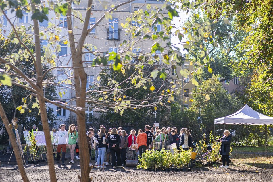 Na Polesiu powstał... mikrolas!