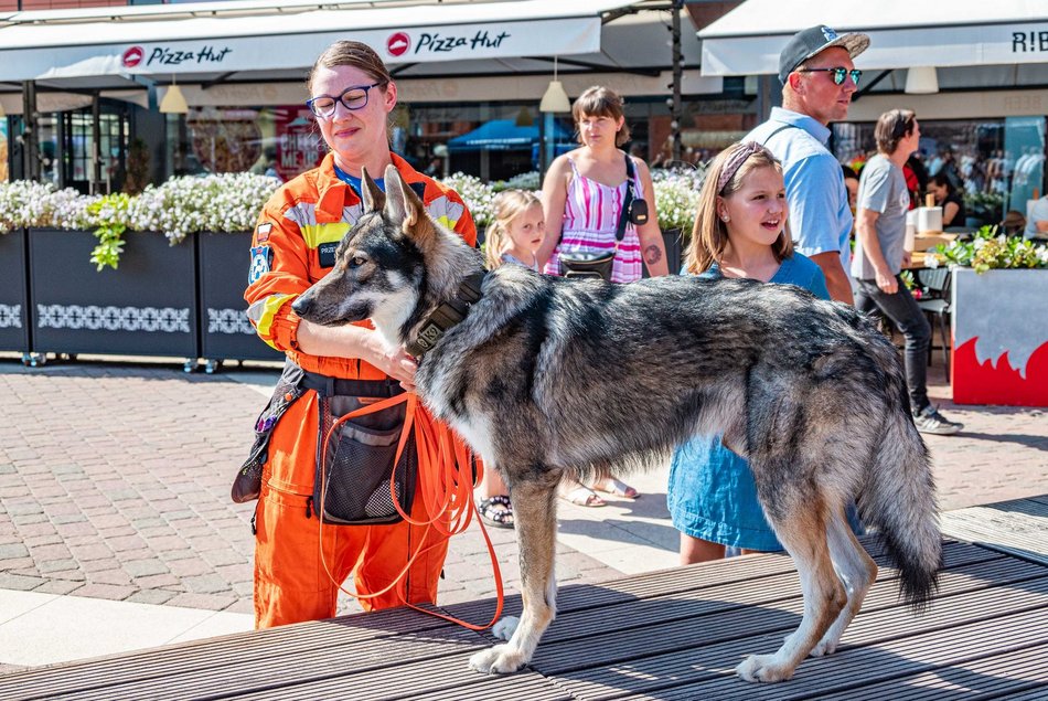 Piknik weterana w Manufakturze