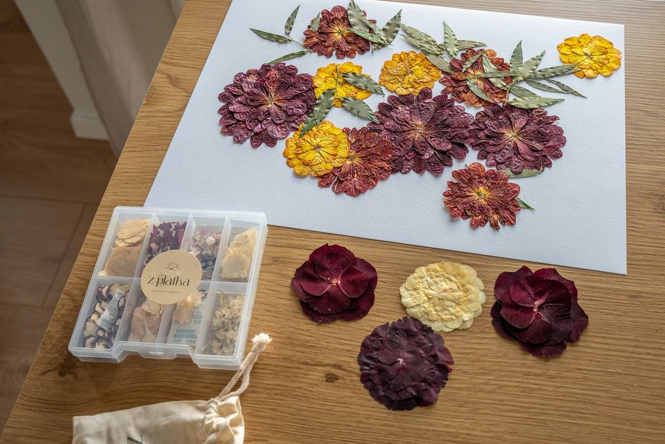 Łódź. Daria Mazurowska prasuje rośliny zawodowo!