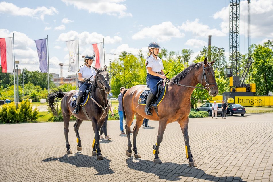Cavaliada w Łodzi! Prestiżowe zawody jeździeckie zawitają do Atlas Areny