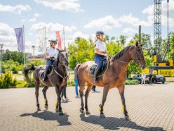 Cavaliada w Łodzi! Prestiżowe zawody jeździeckie zawitają do Atlas Areny
