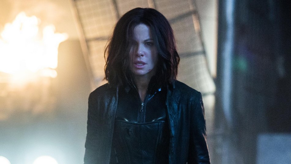 Łódź. Hity w telewizji w dniach 16-22 lutego. Przeczytaj rekomendacje od Toya, które filmy warto obejrzeć