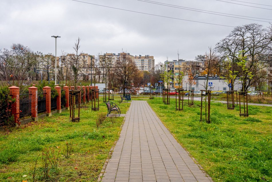 Zazieleni się na Retkini w Łodzi. Będą drzewa liściaste, krzewy i nowoczesny plac zabaw