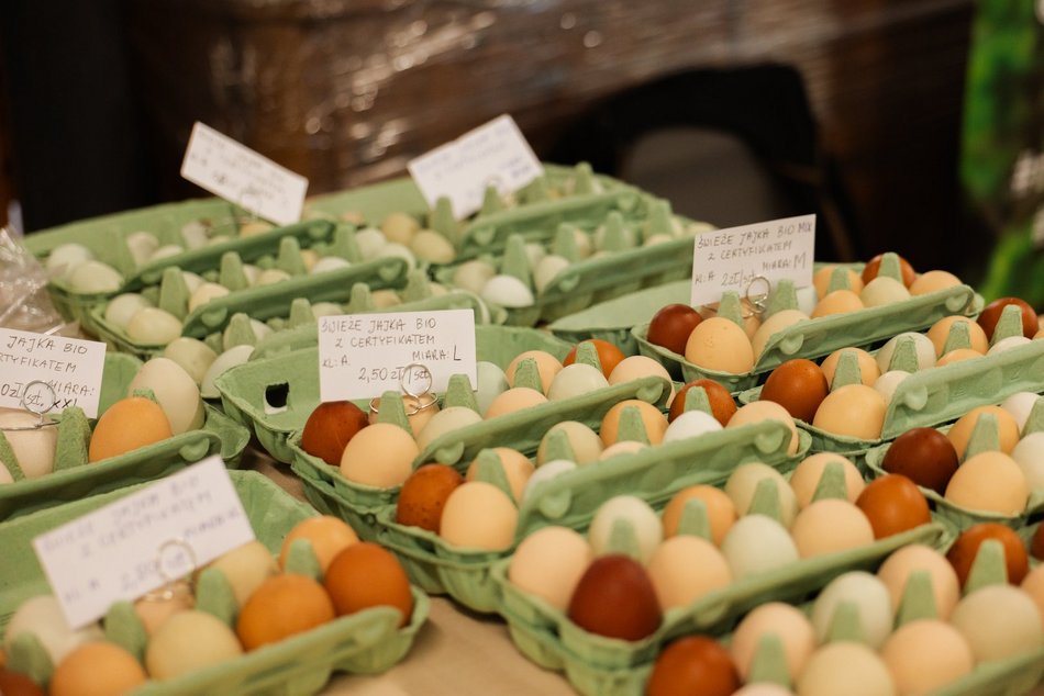 Łódź. Bazar Smaku w Ogrodach Geyera w Łodzi. Zdrowo, ekologicznie i klimatycznie