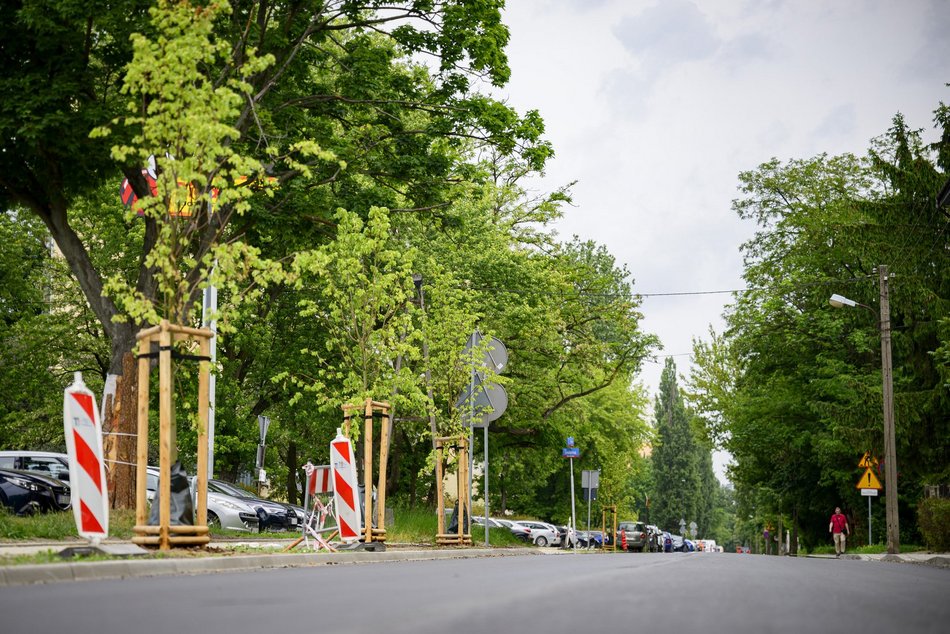 Łódź. Nowe drzewa przy Pabianickiej. Podróż do Portu Łódź to teraz sama przyjemność