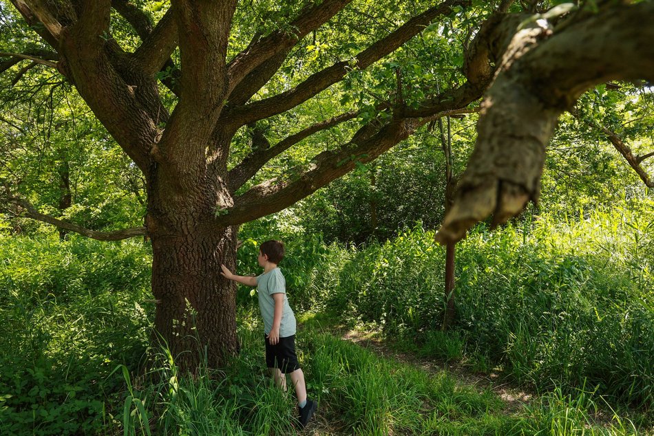 Nazwij park nad rzeką Ner w Łodzi