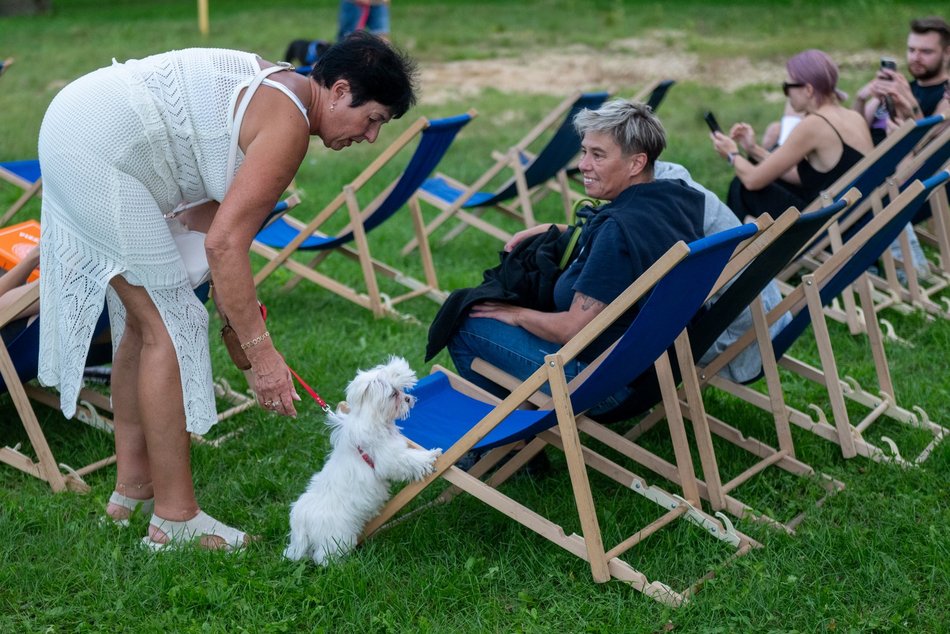 Łódź. Ostatni Psia Polówka w Łodzi za nami. Nic słodszego dziś nie zobaczysz!
