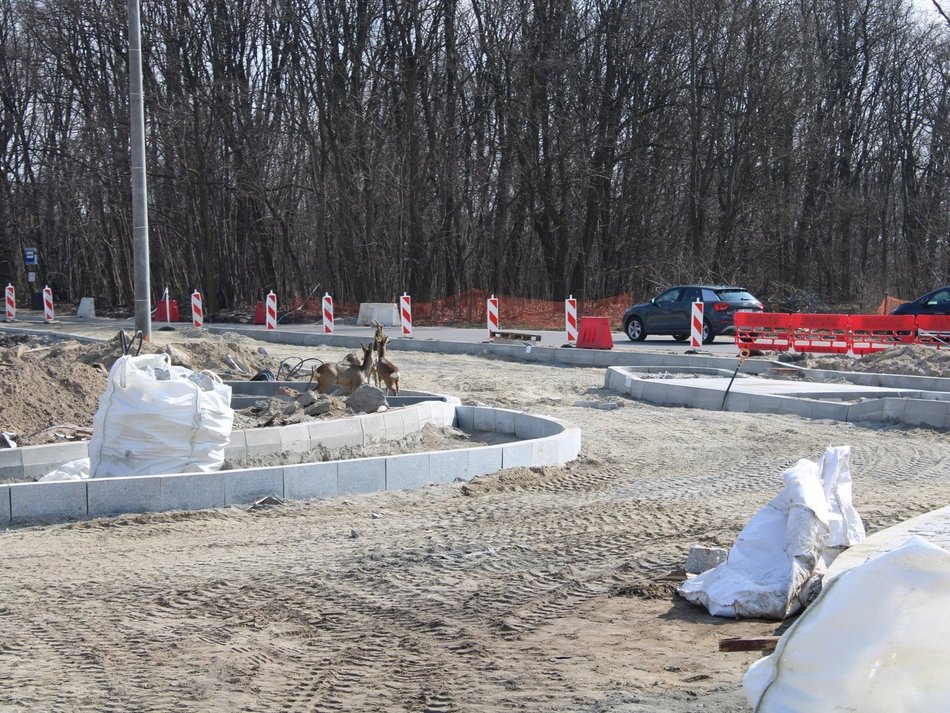 Łódź. Przedłużenie Kaczeńcowej w Łodzi