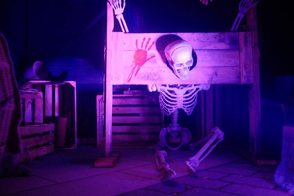 Łódź. Straszny Cyrk w Manufakturze w Łodzi. Wchodzisz tam na własną odpowiedzialność!