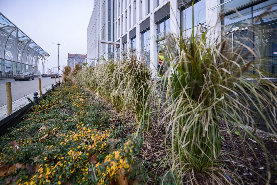 Łódź. Skwery i zieleńce piękne nie tylko wiosną i latem