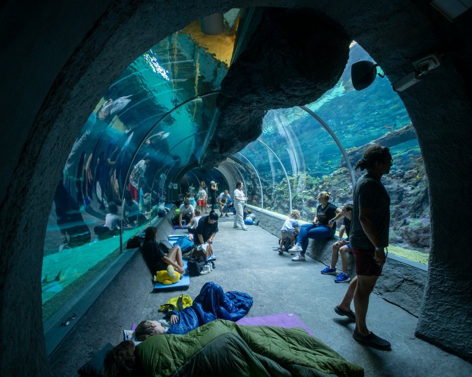 601. Urodziny Łodzi w Orientarium Zoo Łódź