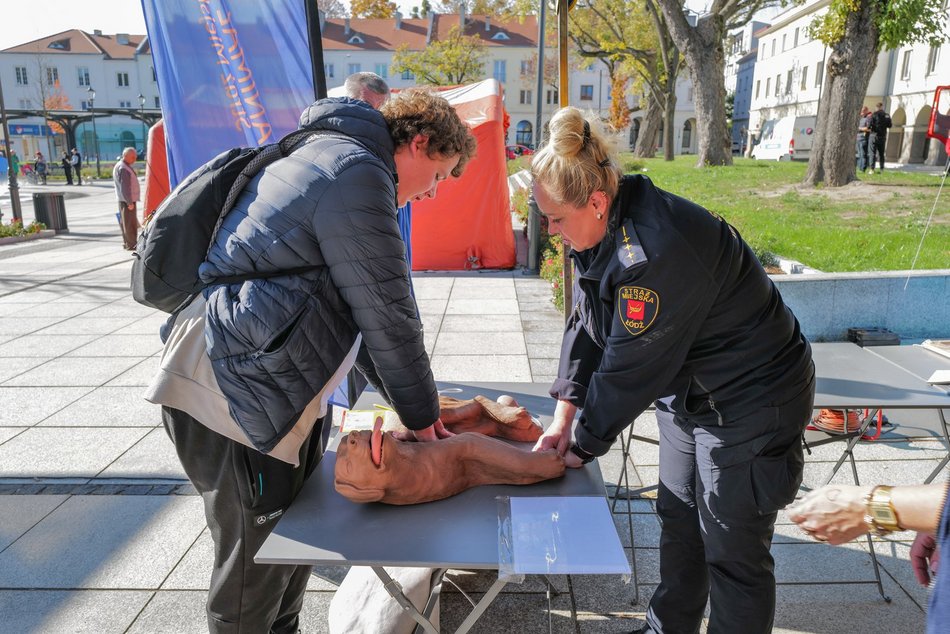 Budżet Obywatelski Łódź 2025. Piknik na Starym Rynku pełen atrakcji