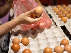 Łódź. Gdzie kupić świeże jajka w Łodzi?