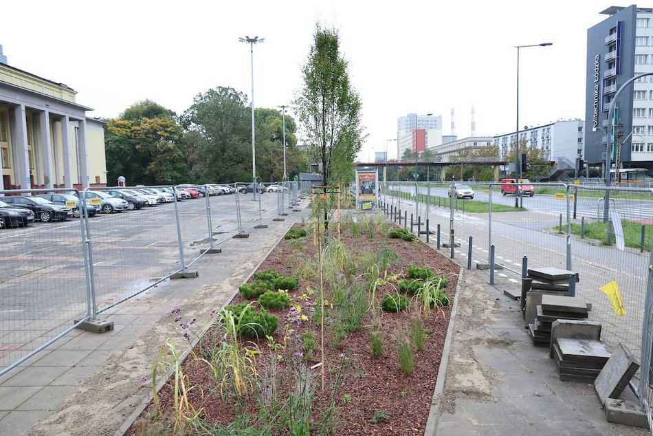 Łódź. Rośliny zamiast betonu przy hali sportowej MOSIR