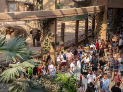 Łódź. Działo się w Orientarium Zoo Łódź! To były wakacje pełne przygód