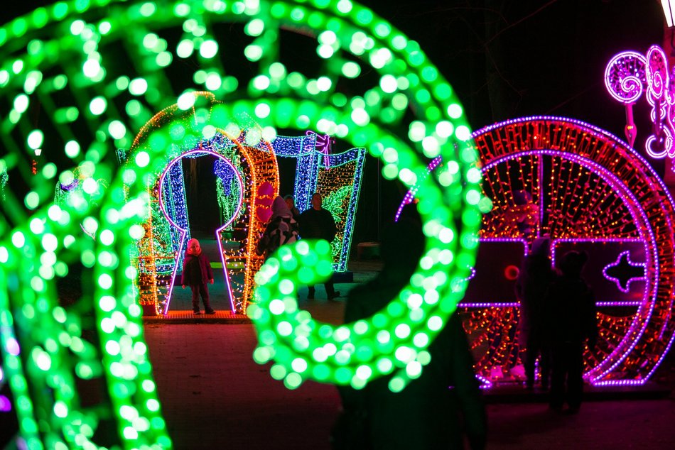 park miliona swiatel, alpaki