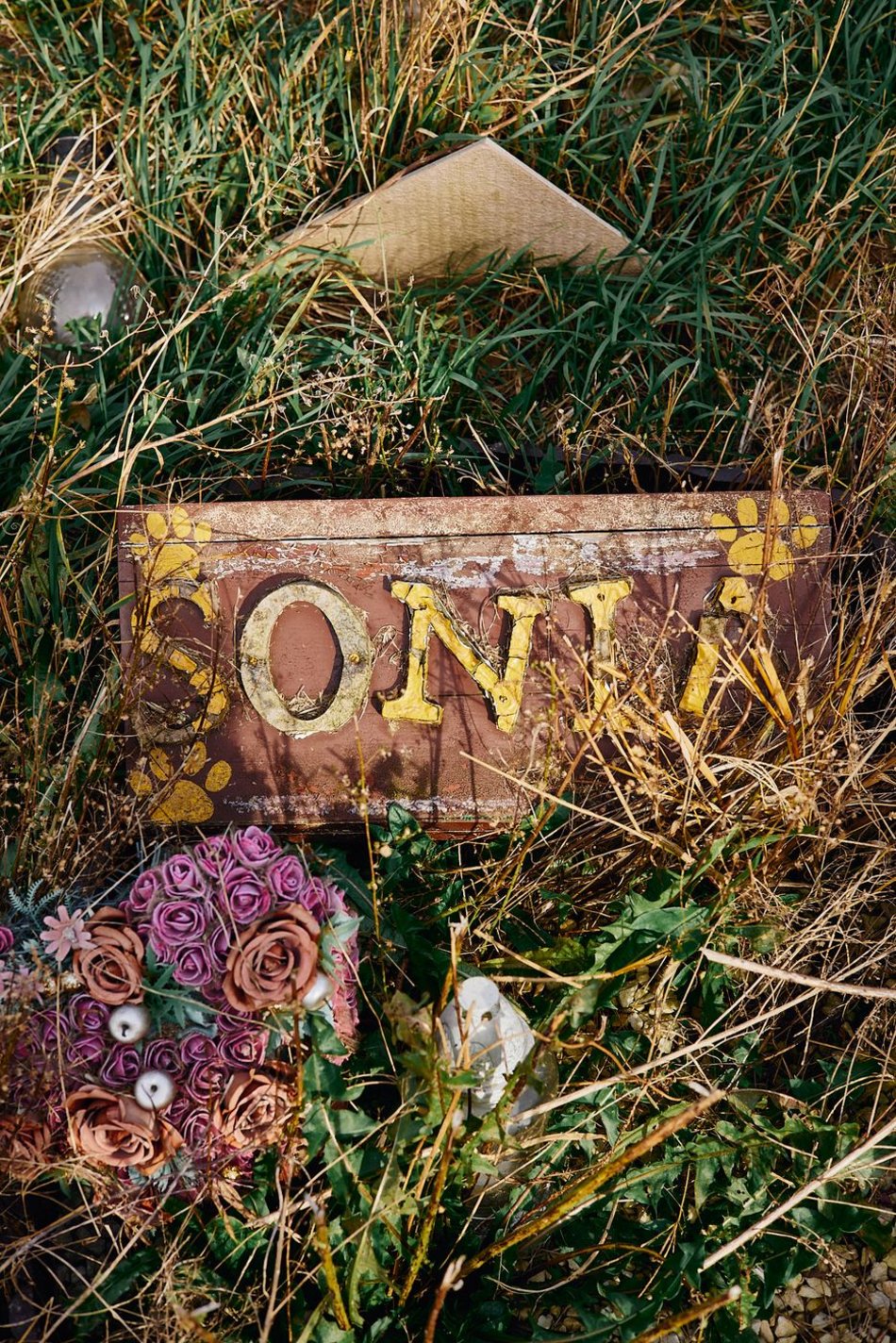 Cmentarz dla zwierząt w Łodzi