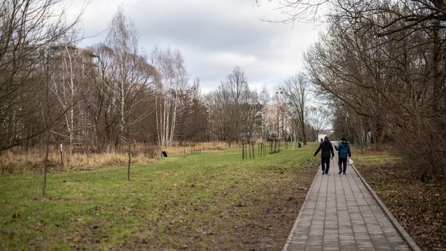 Ekobudżet Obywatelski dla Łodzi. Jakie zielone pomysły zgłosili łodzianie?