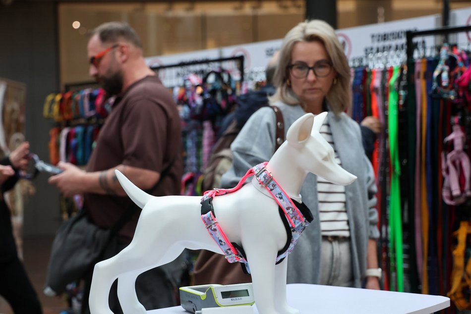 Łódź. Psi Targ w Manufakturze w Łodzi. Każdy miłośnik czworonogów znajdzie tu coś dla siebie