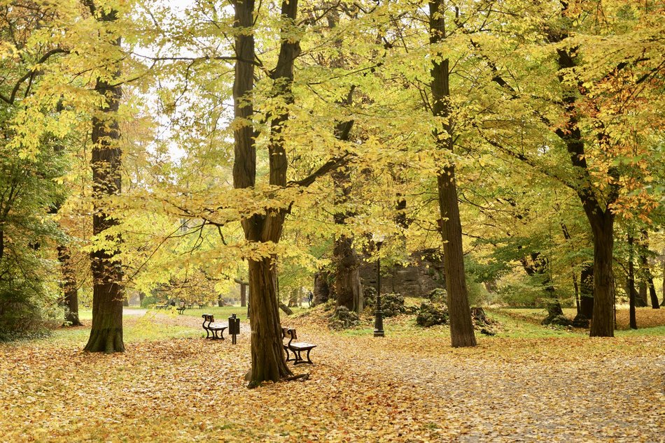 Łódź. Jesień w parku Źródliska w Łodzi. Nie wybrać się tam na spacer to grzech!
